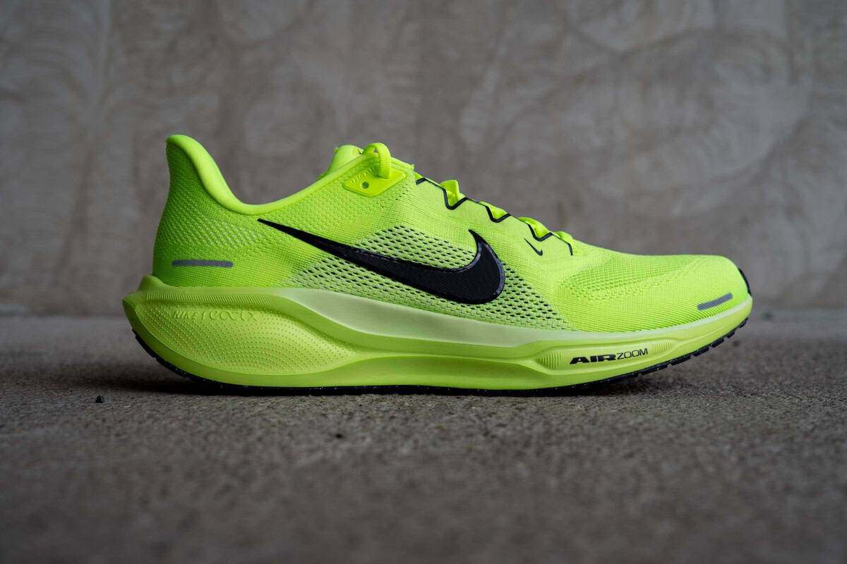 Nike Pegasus 41
