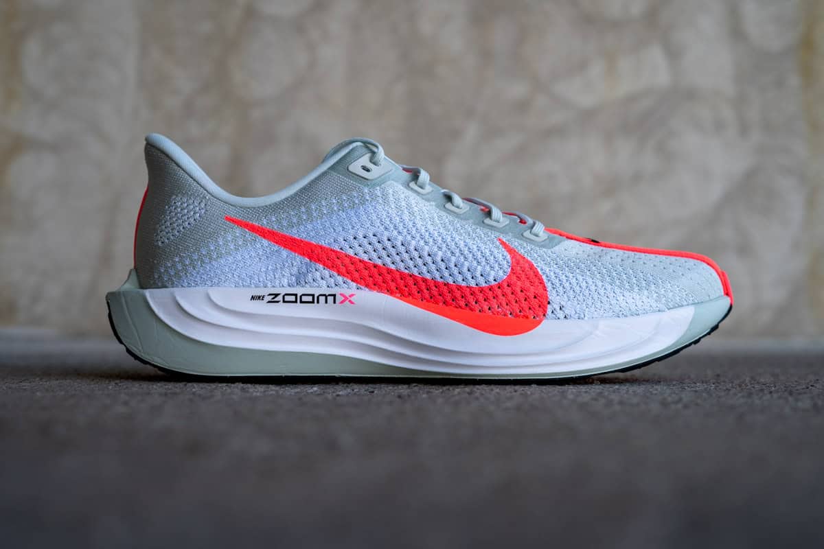 Nike Pegasus Plus